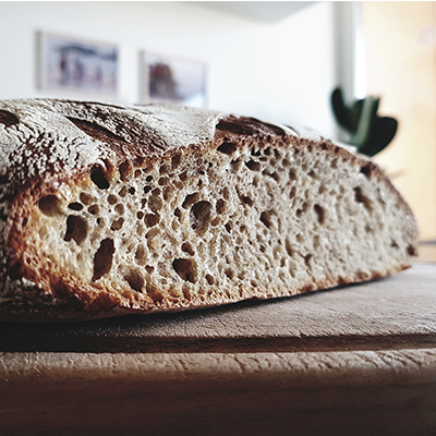 papilo-cbd-products-oil-about-us-gallery-21